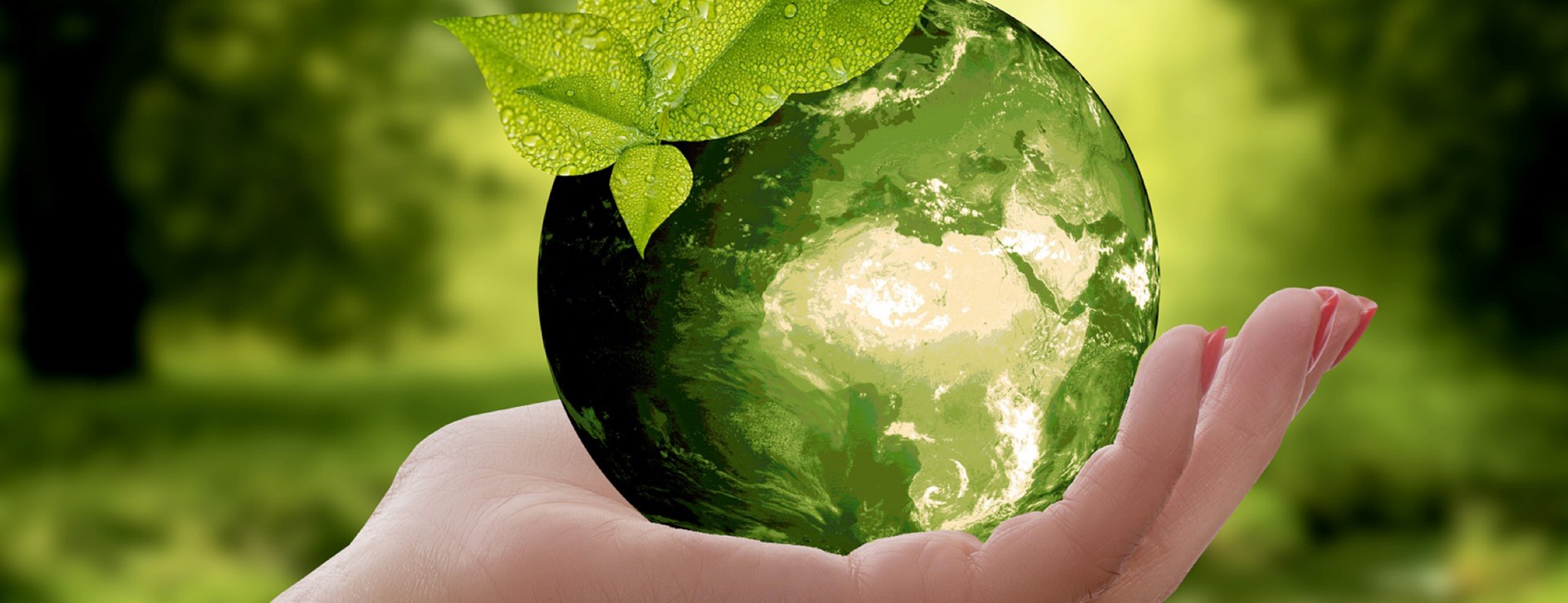 Nachhaltigkeit Nachhaltigkeit